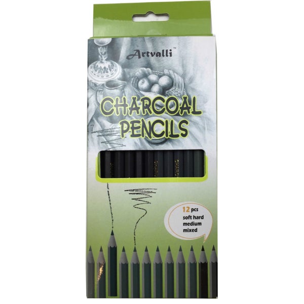 24 pcs CHARCOAL PENCILS Artist Drawing Sketching Shading Draw Sketch Art Craft63617302312963111