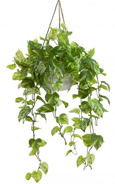 104cm Faux Marble Pothos Bush in Hanging Planter Tabletop and/or Hanging Display Carousel 1