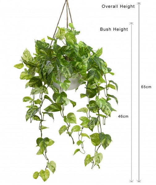 104cm Faux Marble Pothos Bush in Hanging Planter Tabletop and/or Hanging Display Carousel 2