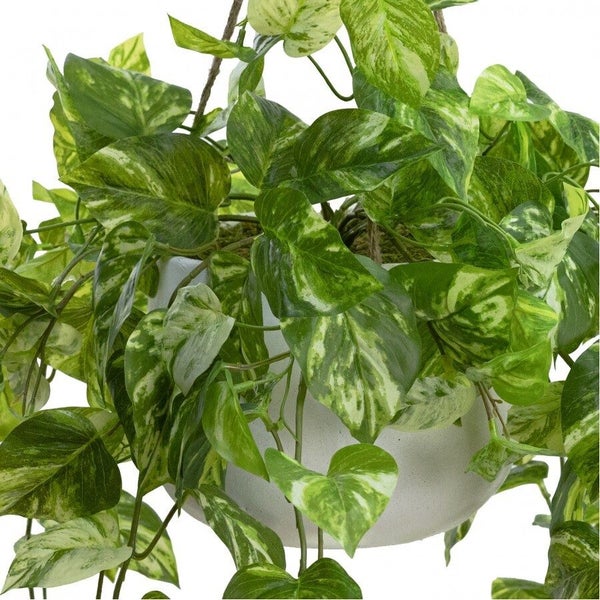 104cm Faux Marble Pothos Bush in Hanging Planter Tabletop and/or Hanging Display Carousel 3