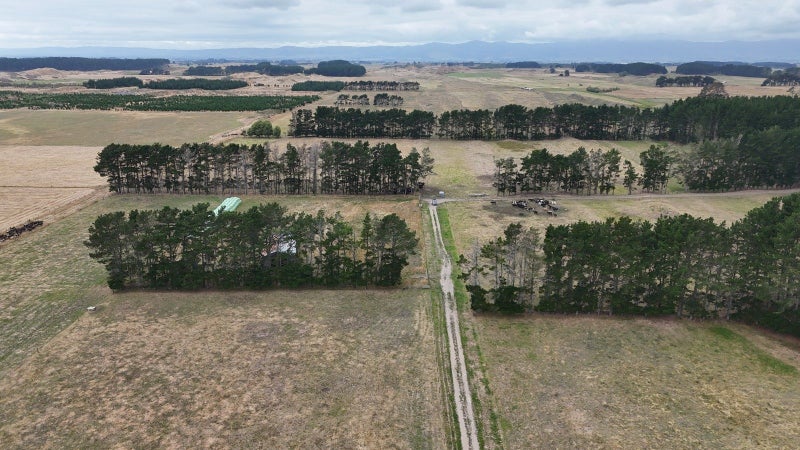 Versatile land with options62864775564546113