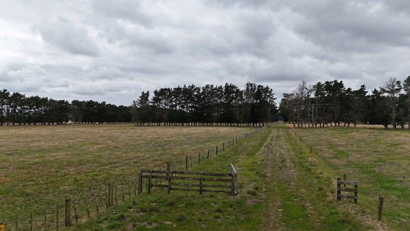 Versatile land with options62864775564546114