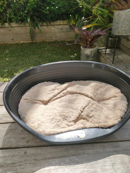 Ferplast Italy premium dog bed & Yours Droolly cushion Carousel 1
