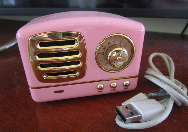 *** VERY CUTE LITTLE BLUETOOTH RADIO/SPEAKER *** Carousel 1