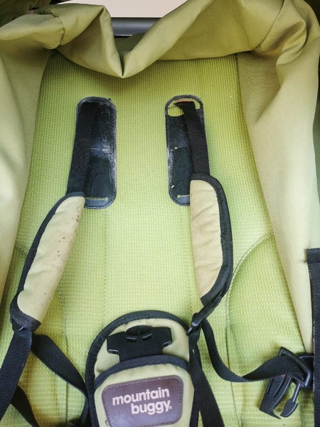 Mountain Buggy Terrain stroller Carousel 2