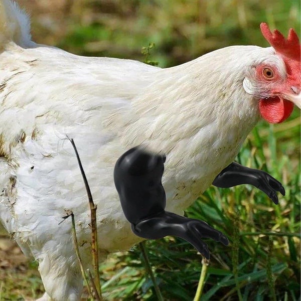 4Pack Chicken Wing Arms - Black Carousel 2