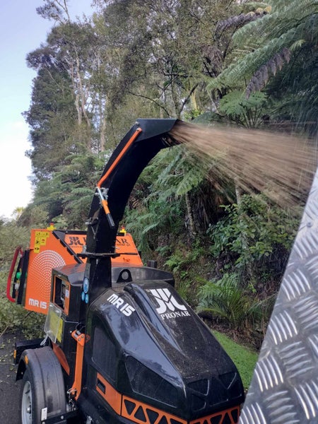 Stump Grinding/Tree Services Auckland Carousel 2