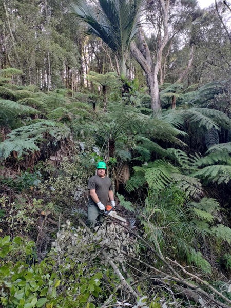Stump Grinding/Tree Services Auckland Carousel 9