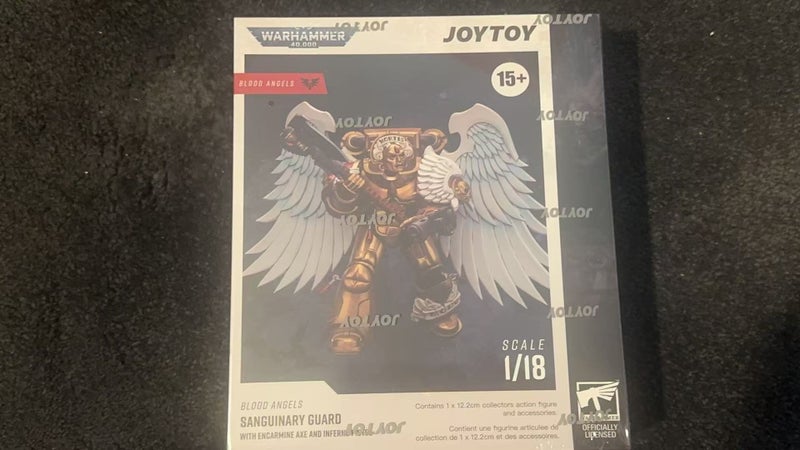 Warhammer 40K Blood Angels Sanguinary Guard w/ Encarmine Axe & Inferno Pistol Carousel 8