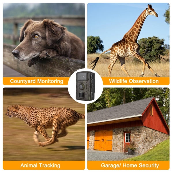 Hunting Trail Camera Carousel 2