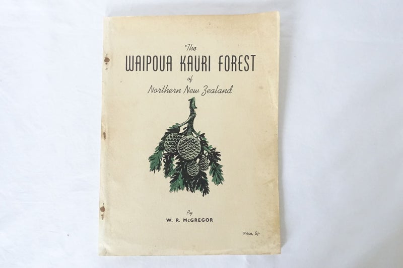 The Waipoua Kauri Forest of Northern NZ The Last Virgin Kauri Forest NZ SKU BK30 Carousel 1