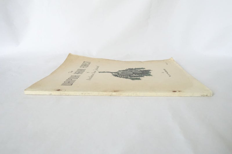 The Waipoua Kauri Forest of Northern NZ The Last Virgin Kauri Forest NZ SKU BK30 Carousel 2