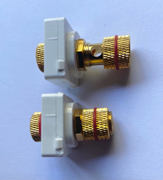 RED AND BLACK SPEAKER WALL PLATE (SCREW DOWN FOR BARE WIRE OR BANANA) - INOVO Carousel 4