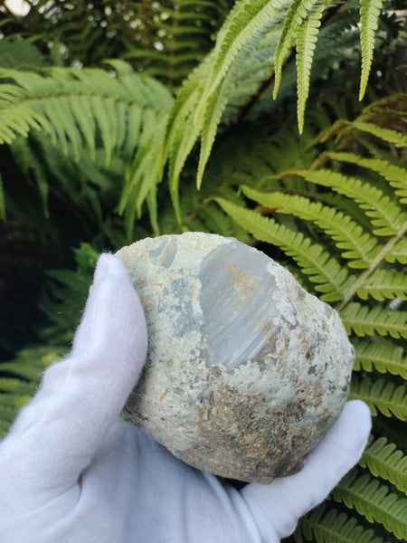 Very unique NZ banded Agate #1 Carousel 6