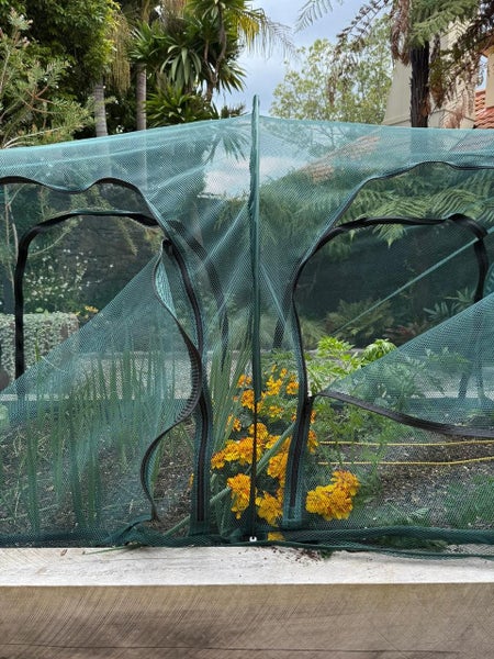 Gubba Net Tunnel 2m x 1m - Dual Side Openings Carousel 2