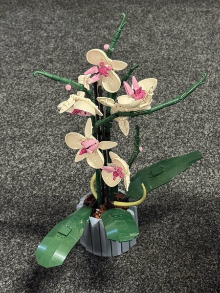 LEGO Icons Orchid 10311 Carousel 2