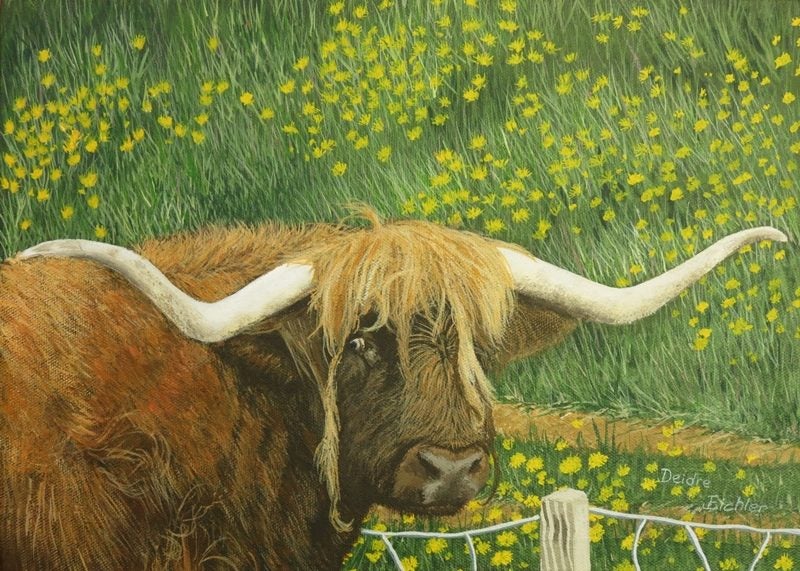 "Highland Cow and Dandelions" Original NZ Acrylic Painting by Deidre Eichler