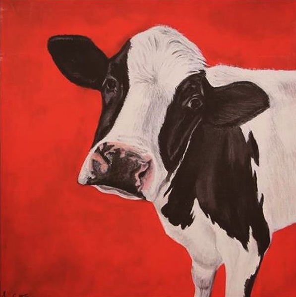Dairy Cow, ready to hang boxed canvas print, 60cm x 60cm Carousel 1