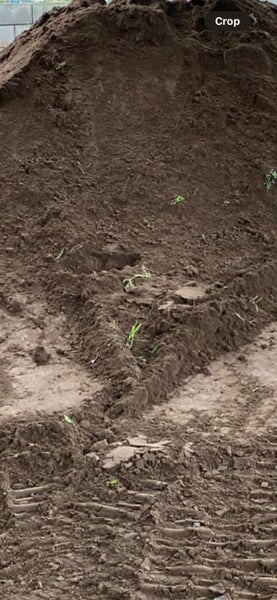 Topsoil Carousel 4
