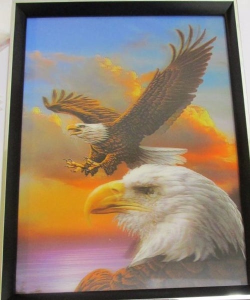 Framed Bald Eagle picture Carousel 1
