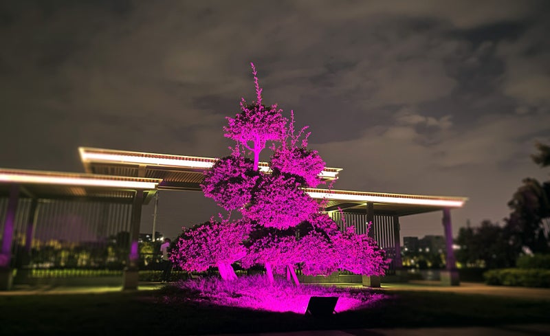 Variable colours and white solar flood light with R/C and phone app. 772Lm #953 Carousel 2