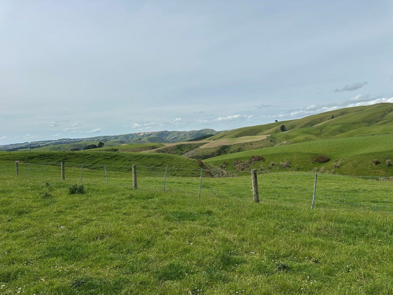 Image 3 of 26