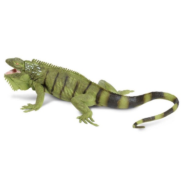 Safari Ltd Iguana Carousel 1