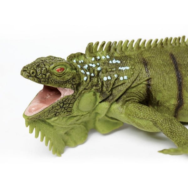 Safari Ltd Iguana Carousel 5