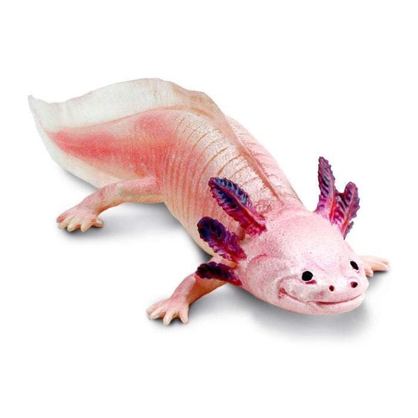 Safari Ltd Axolotl Toy Figure Carousel 1