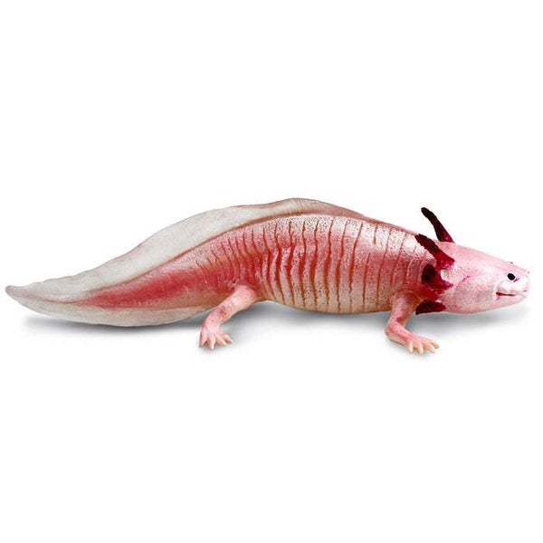 Safari Ltd Axolotl Toy Figure Carousel 2