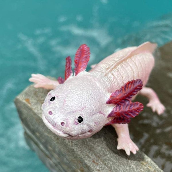 Safari Ltd Axolotl Toy Figure Carousel 7