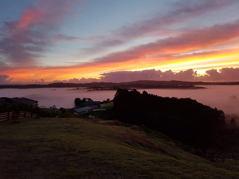 Image 2 of 48