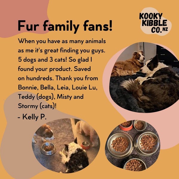 Bundle of 2 New Zealand Dog Food with Grains for Adult Dogs 12kg Carousel 9