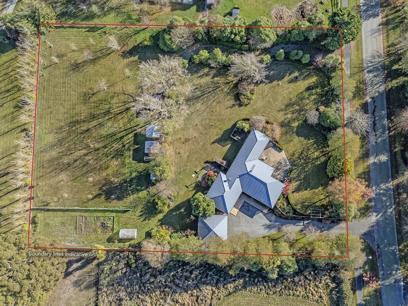 Image 1 of 46