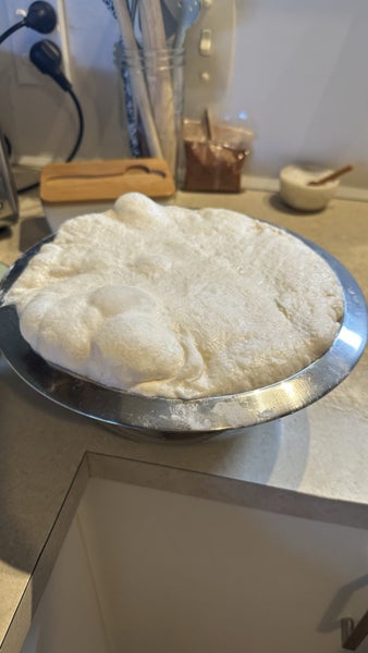 Organic Sourdough Starter Carousel 5