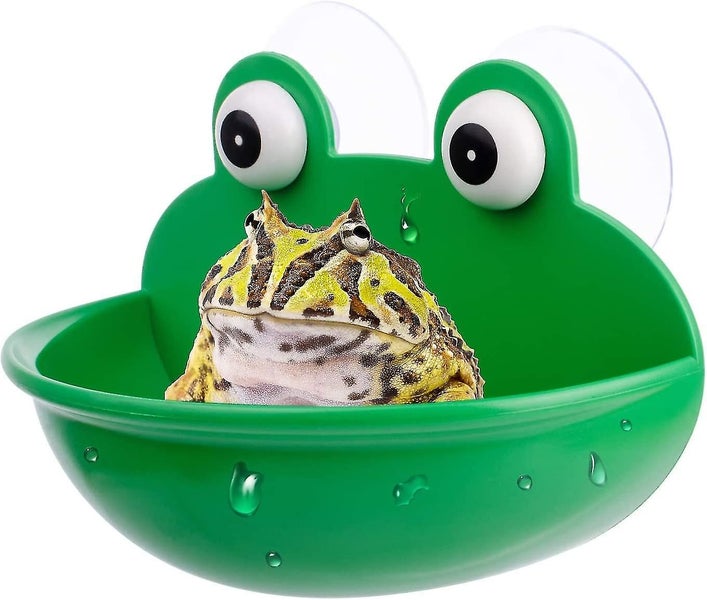Amphibian Aquatic Frog Habitat Cute Fish Tank Decoration Suitable For Frog toa Carousel 1