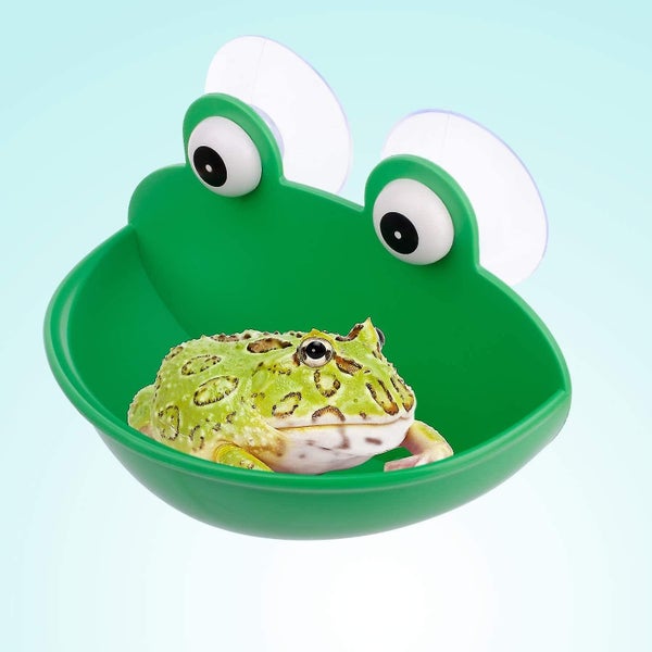 Amphibian Aquatic Frog Habitat Cute Fish Tank Decoration Suitable For Frog toa Carousel 5