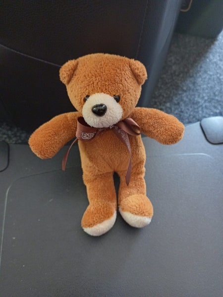 Little Teddy Bear Carousel 1