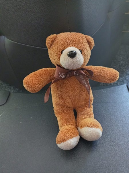 Little Teddy Bear Carousel 2