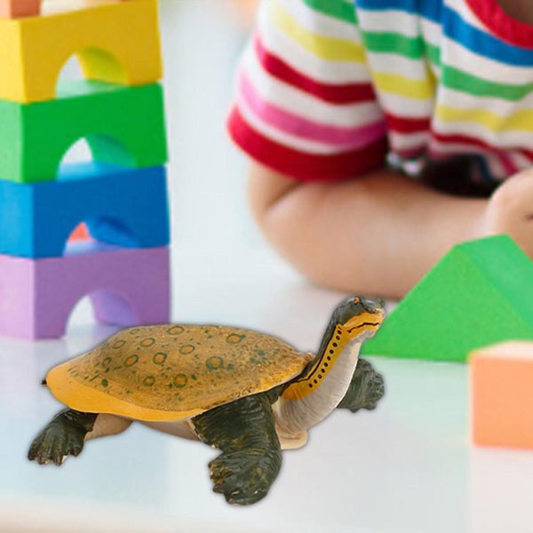 Animal Model Simulation Tortoise Desktop Ornament Kid Present Educational Mode Carousel 5