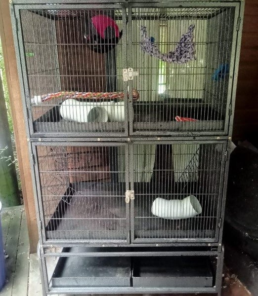 rat cage Carousel 1