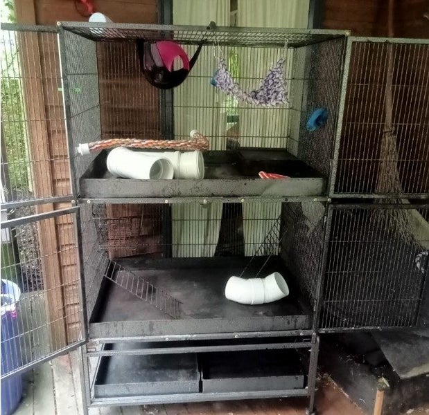rat cage Carousel 2
