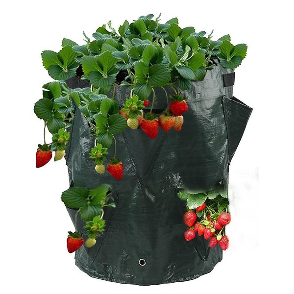 Strawberry Bag Planting Bag For Strawberries X2 Carousel 1