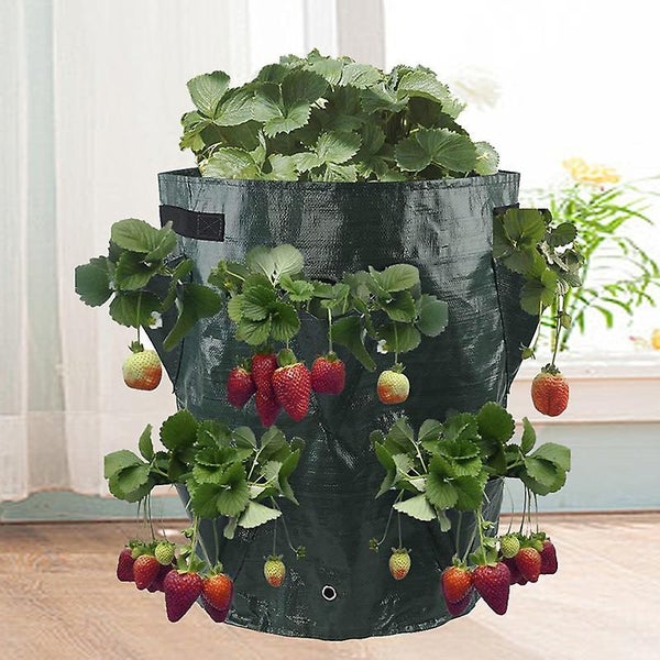 Strawberry Bag Planting Bag For Strawberries X2 Carousel 4