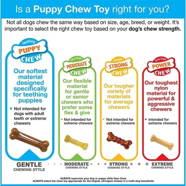 Nylabone Puppy Chew "X" Chew Bone Beef - Regular Carousel 6