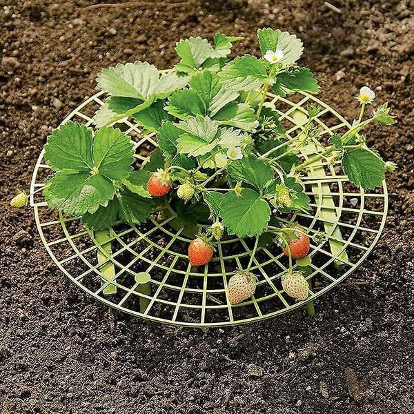 Planting Frames Plastic Strawberry Plant Bags Growing Strawberry Bag Strawberr Carousel 5