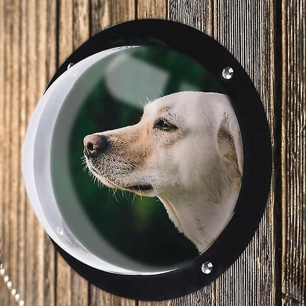 Pet Transparent Window Clear Perspex Acrylic Fence Window For Dog And Cat Carousel 5