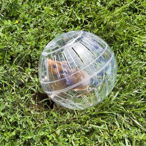 1pc Hamster Balls Rodent Toys Accessories Mice Better Air Feeding Plastic Hams Carousel 2
