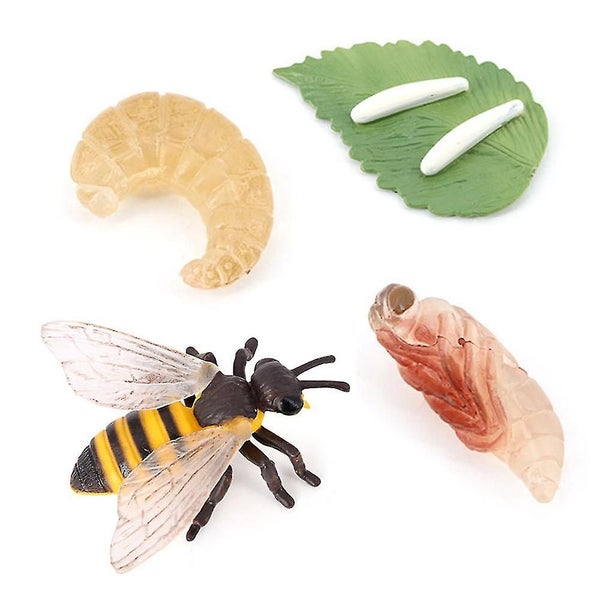 Animal Model Education Toys Butterfly Bee Ladybug Animal Life Cycle Toy For Ki Carousel 1
