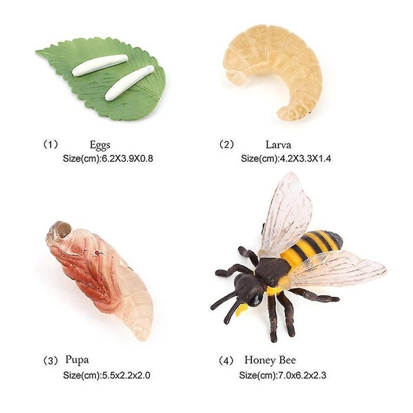 Animal Model Education Toys Butterfly Bee Ladybug Animal Life Cycle Toy For Ki Carousel 3